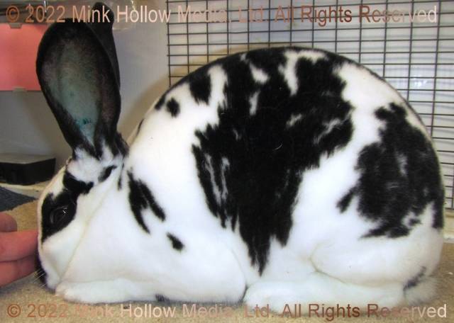 0-main.jpg 0-main.jpg