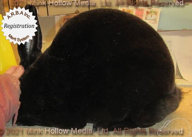 0-main.jpg 0-main.jpg