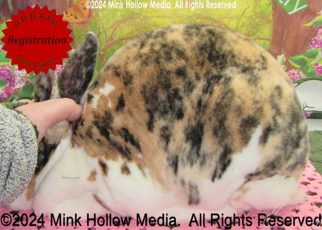 0-main.jpg 0-main.jpg