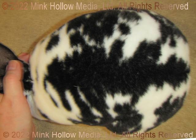 rain-2022-07-25-17-40-26_wm.jpg rain-2022-07-25-17-40-26_wm.jpg