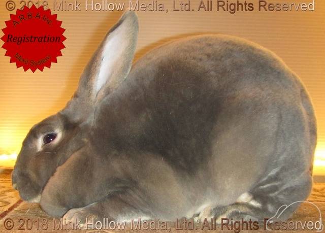 0-main.jpg 0-main.jpg