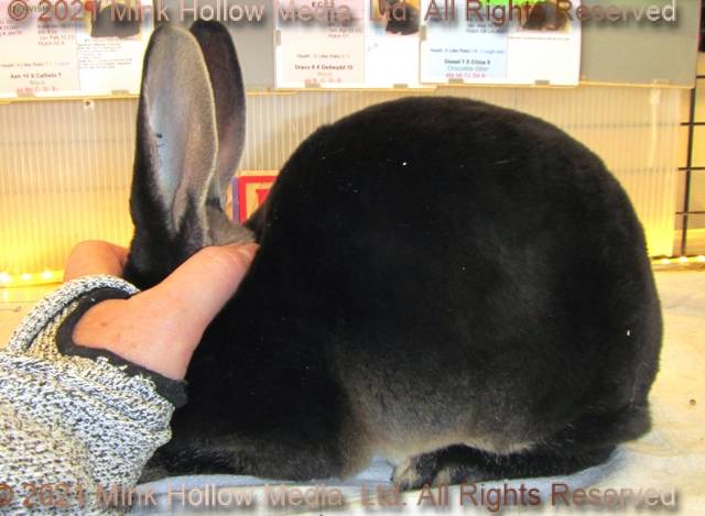 0-main.jpg 0-main.jpg