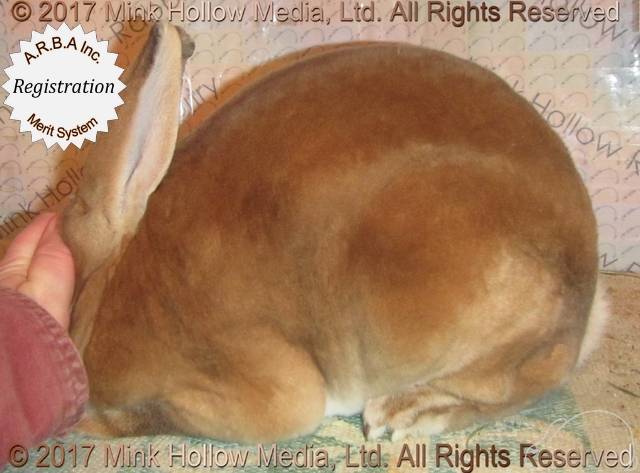 2-main.jpg 2-main.jpg