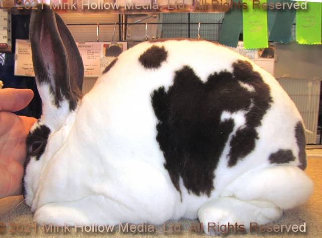 0-main.jpg 0-main.jpg