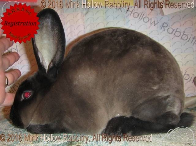 0-main.jpg 0-main.jpg