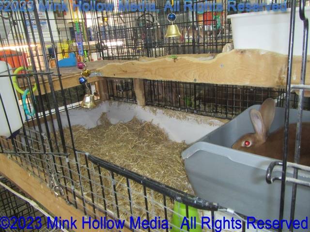 2023-06-19-13-42-39_wm.jpg 2023-06-19-13-42-39_wm.jpg