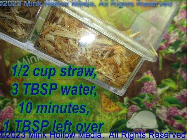 2023-07-26-13-32-32_wm.jpg 2023-07-26-13-32-32_wm.jpg