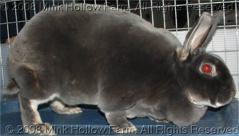 nano-001.jpg nano-001.jpg