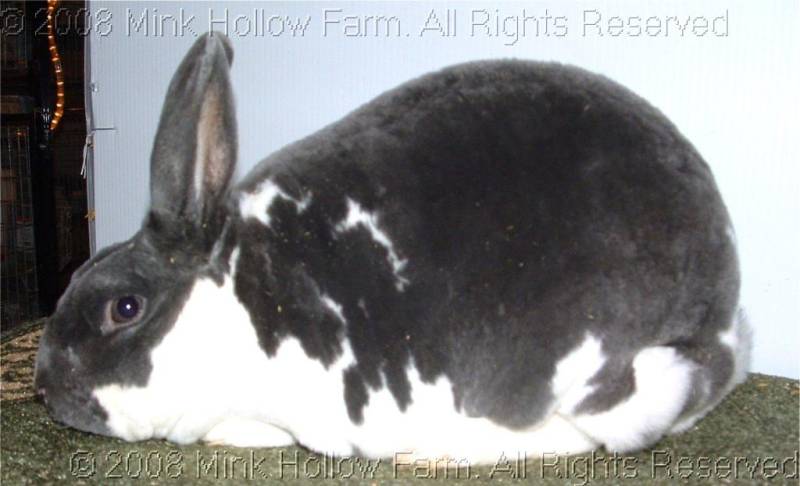 o-evan-2008-12-07-061.jpg o-evan-2008-12-07-061.jpg