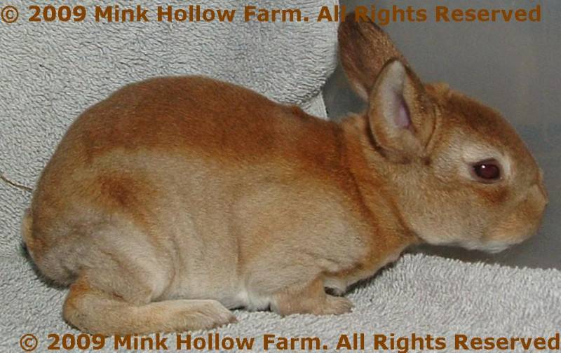 august-400.jpg august-400.jpg