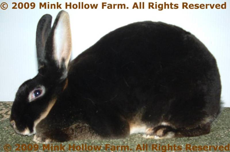 pandora-2008-12-07-034.jpg pandora-2008-12-07-034.jpg