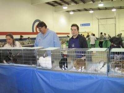 Judging sheets placed on top of the coop waiting for all the rabbits to be brought up.