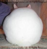 Winter (white) Tic Tac X Will Power