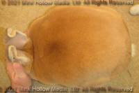 eos-2021-09-21-18-23-30_wm.jpg