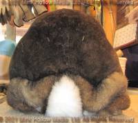 dustbun-2021-05-25-17-34-08_wm.jpg