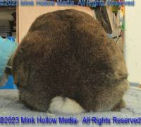 fox-2023-04-23-12-48-31_wm.jpg
