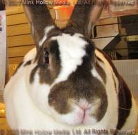 coco-2020-09-27-15-40-49_wm.jpg